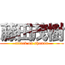 藤田茂樹 (attack on shonan)