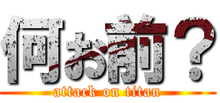 何お前？ (attack on titan)