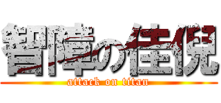 智障の佳倪 (attack on titan)