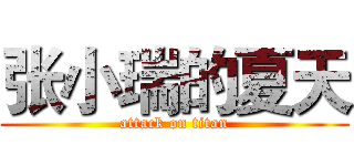 张小瑞的夏天 (attack on titan)