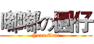 嘟嘟の圓仔 (Yuan Tsai)