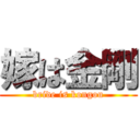 嫁は金剛 (bride is kongou)