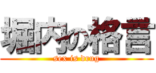 堀内の格言 (sex is drug)