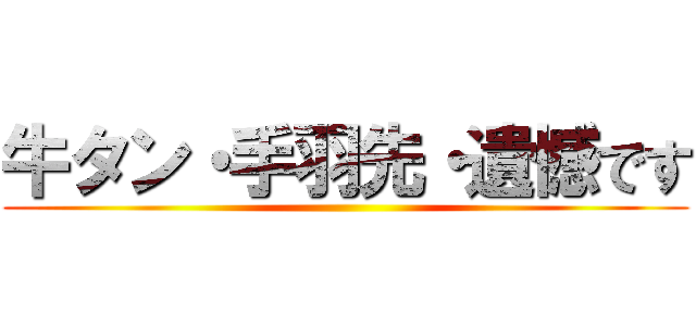牛タン・手羽先・遺憾です ()