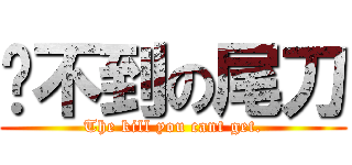 撿不到の尾刀 (The kill you cant get.)