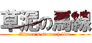 草泥の馬線 (Alpaca\'s stomach line)