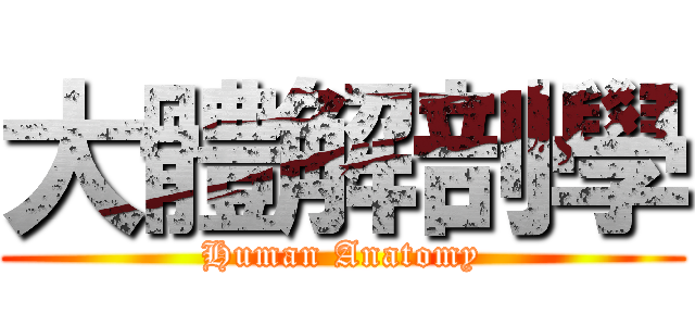 大體解剖學 (Human Anatomy)