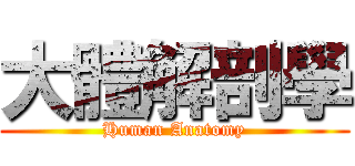 大體解剖學 (Human Anatomy)