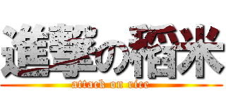 進撃の稻米 (attack on rice)