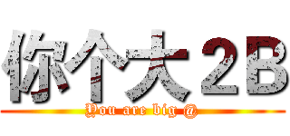 你个大２Ｂ (You are big @)