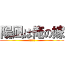 陽凪は俺の嫁 (陽凪大好き)