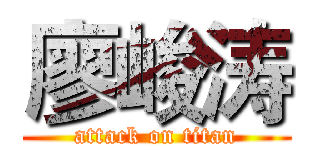 廖峻涛 (attack on titan)