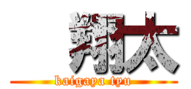   翔太 (kaigaya tyu)
