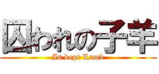 囚われの子羊 (Is kept Lamb)