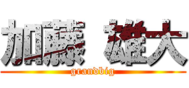 加藤 雄大 (grandbig)