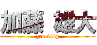 加藤 雄大 (grandbig)