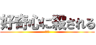 好奇心に殺される (道の駅)