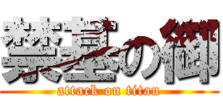禁基の御 (attack on titan)