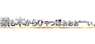 猿も木からひゃっほぉぉぉーぃ♪ (MONKY hyaffoooｉ)