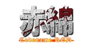 赤綿 (Codename RED)