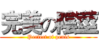 完美の陰莖 (Perfect of penis)