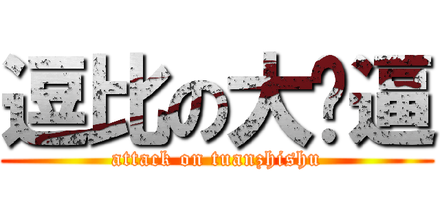 逗比の大傻逼 (attack on tuanzhishu)