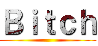 Ｂｉｔｃｈ ()