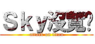 Ｓｋｙ沒覽趴 (attack on titan)