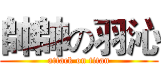 帥帥の羽沁 (attack on titan)