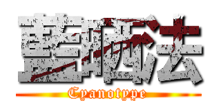 藍晒法 (Cyanotype)