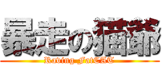 暴走の猫爺 (Raving FatCAT)