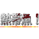 熱帯魚！ (attack on titan)