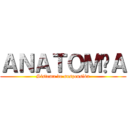 ＡＮＡＴＯＭÍＡ (Sistema de suspensión)