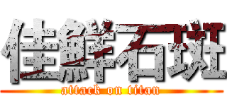 佳鮮石斑 (attack on titan)