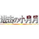 进击の小月月 ()