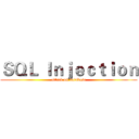 ＳＱＬ Ｉｎｊｅｃｔｉｏｎ (attack on database)