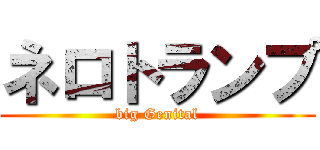 ネロトランプ (big Genital)