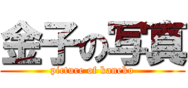 金子の写真 (picture of kaneko)