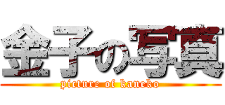 金子の写真 (picture of kaneko)