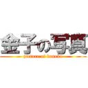 金子の写真 (picture of kaneko)