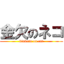 金欠のネコ (kinketu on cat)