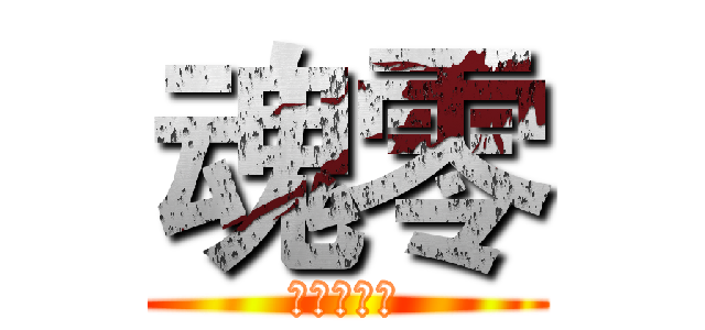 魂零 (體育專門店)