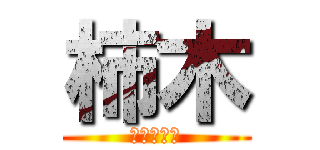 柿木 (部長（笑）)