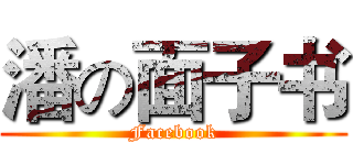 潘の面子书 (Facebook)