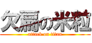 欠扁の米粒 (attack on titan)