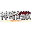 神奇的數 (QF Math)