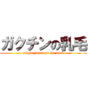 ガクチンの乳毛 (nipple hair into the dark)