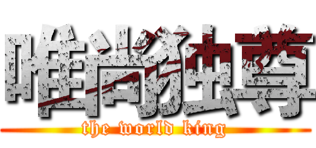 唯尚独尊 (the world king)