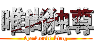唯尚独尊 (the world king)