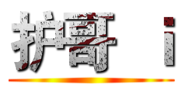 护哥  ｉ ()